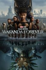 Watch Black Panther: Wakanda Forever Online Zmovies