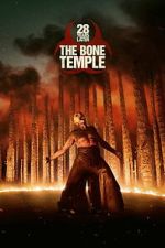 28 Years Later: The Bone Temple zmovies