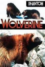 Watch National Geographic Phantom Wolverine Zmovies