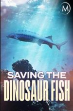 Watch Saving the Dinosaur Fish Zmovies
