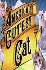 Watch America's Cutest Cat Zmovies