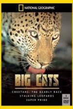 Watch National Geographic: Living With Big Cats Zmovies