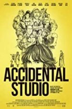 Watch An Accidental Studio Zmovies