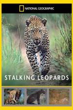 Watch National Geographic: Stalking Leopards Zmovies