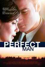 Watch A Perfect Man Zmovies