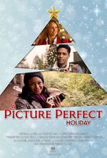 Watch A Picture Perfect Holiday Zmovies