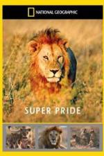 Watch National Geographic: Super Pride Africa\'s Largest Lion Pride Zmovies