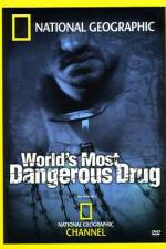 Watch Worlds Most Dangerous Drug Zmovies