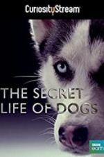 Watch Secret Life of Dogs Zmovies