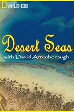 Watch Desert Seas Zmovies