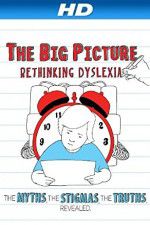 Watch The Big Picture Rethinking Dyslexia Zmovies