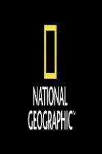 Watch National Geographic Wild Animal Attacks On Vacation Zmovies