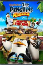 Watch Penguins of Madagascar New to the Zoo Zmovies