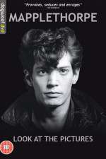 Watch Mapplethorpe: Look at the Pictures Zmovies