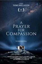 Watch A Prayer for Compassion Zmovies