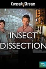 Watch Insect Dissection: How Insects Work Zmovies