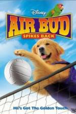 Watch Air Bud Spikes Back Zmovies