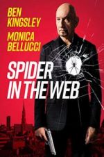 Watch Spider in the Web Zmovies