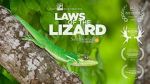 Watch Laws of the Lizard Zmovies