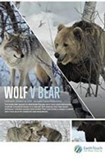 Watch Wolf vs Bear Zmovies