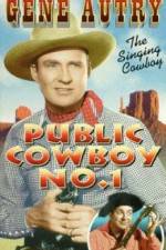 Watch Public Cowboy No 1 Zmovies
