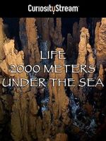 Watch Life 2,000 Meters Under the Sea Zmovies