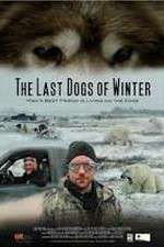 Watch The Last Dogs of Winter Zmovies
