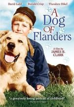 Watch A Dog of Flanders Zmovies