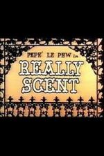 Watch Really Scent (Short 1959) Zmovies