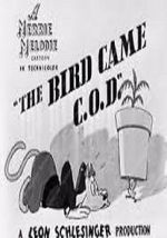 Watch The Bird Came C.O.D. (Short 1942) Zmovies