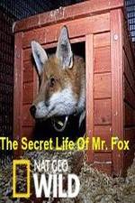 Watch The Secret Life of Mr. Fox Zmovies