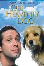 Watch Oh Heavenly Dog Zmovies
