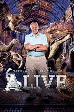 Watch David Attenborough\'s Natural History Museum Alive Zmovies