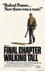 Watch Final Chapter: Walking Tall Zmovies