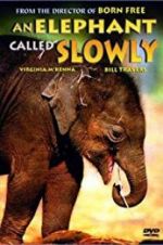 Watch An Elephant Called Slowly Zmovies