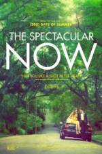 Watch The Spectacular Now Zmovies