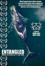 Watch Entangled: The Race to Save Right Whales from Extinction Zmovies