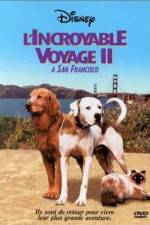 Watch Homeward Bound II Lost in San Francisco Zmovies