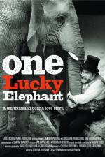 Watch En lycklig elefant Zmovies