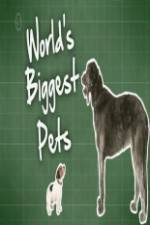 Watch World's Biggest Pets Zmovies
