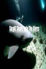Watch National Geographic Wild Sixgill Shark Into The Abyss Zmovies