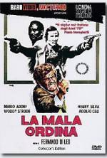 Watch The Italian Connection Zmovies