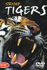 Watch Swamp Tigers Zmovies