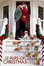 Watch 12 Pups of Christmas Zmovies