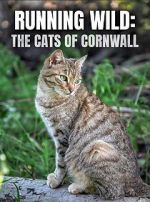 Watch Running Wild: The Cats of Cornwall (TV Special 2020) Zmovies