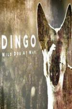 Watch Dingo Wild Dog at War Zmovies