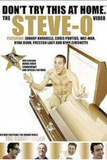 Watch Don't Try This at Home The Steve-O Video Zmovies