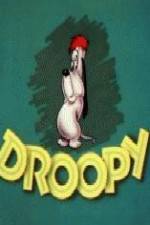Watch Homesteader Droopy Zmovies