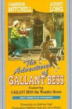 Watch Adventures of Gallant Bess Zmovies