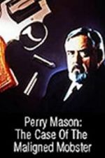 Watch Perry Mason: The Case of the Maligned Mobster Zmovies